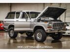 Thumbnail Photo 144 for 1979 Ford Bronco